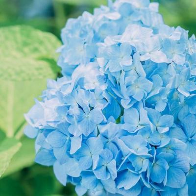 新神曲手游九游版下载